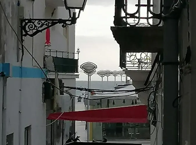 Cantinho Da 아파트 나자레